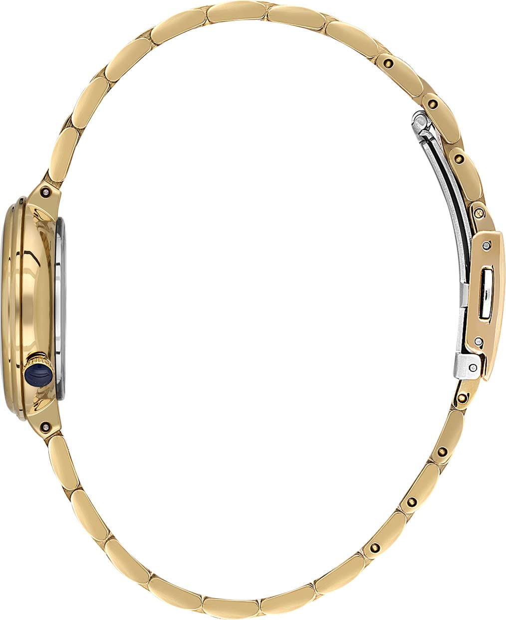 Daniel Klein Daniel Klein Premium DK.1.13721-2 , наручные женские часы фото под углом